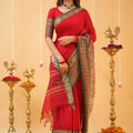 Red Narayanpet Cotton Saree