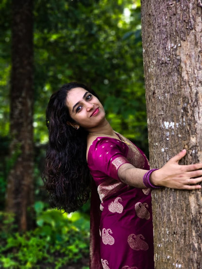 Banarasi Soft Silk Saree
