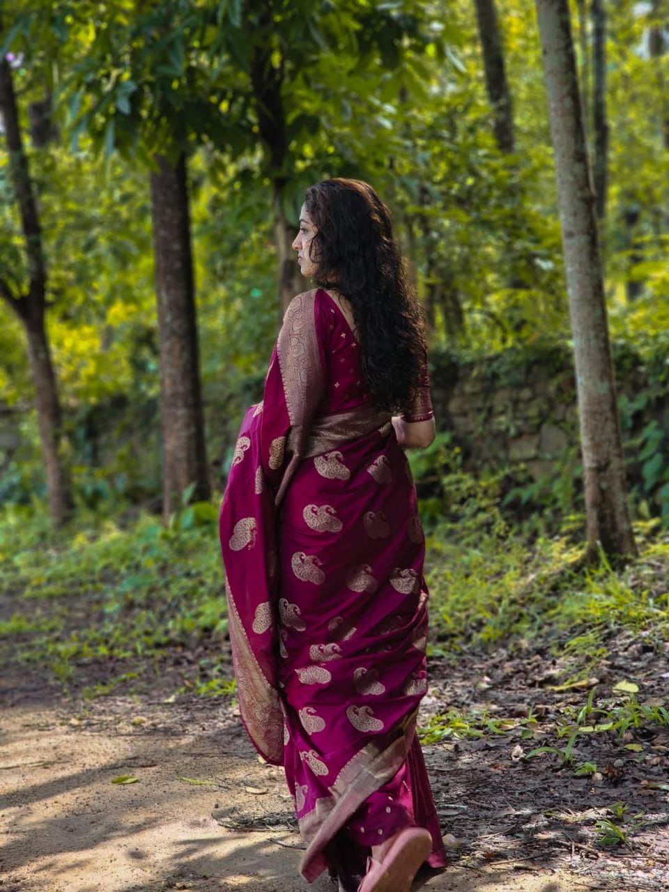Banarasi Soft Silk Saree